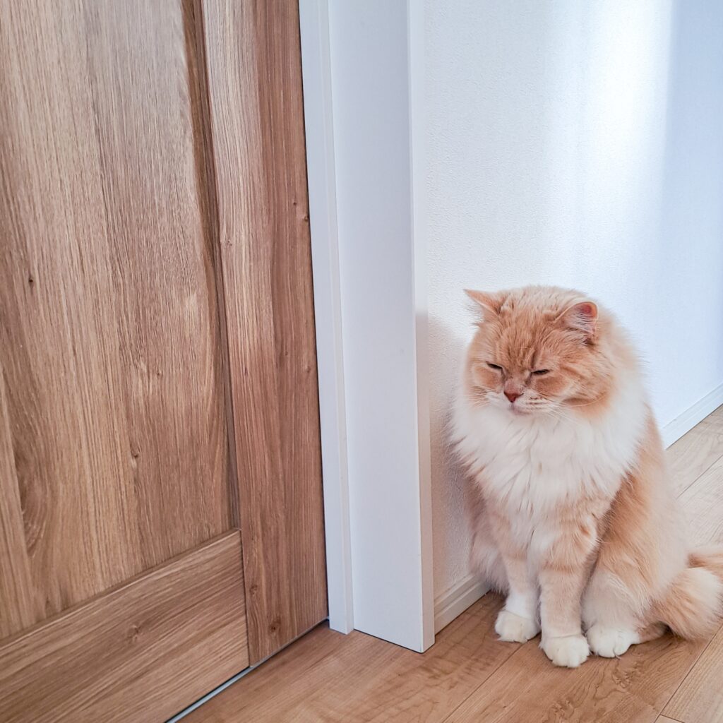 いわきリペアナビ　ドア補修案内イメージ写真