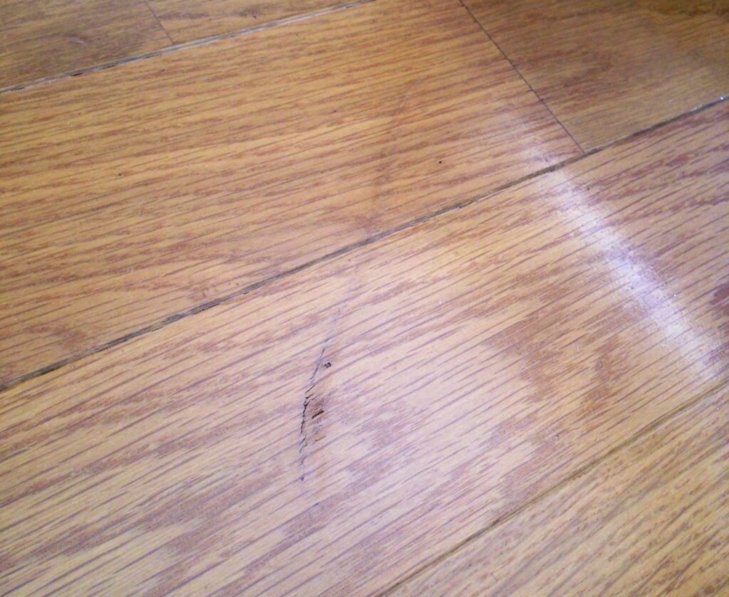 いわきリペアナビ　床ダメージイメージ画像