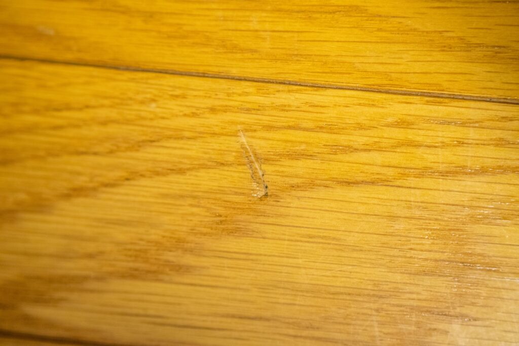 いわきリペアナビ　フローリング補修紹介イメージ画像